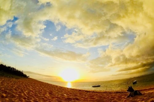 夕陽と犬と海