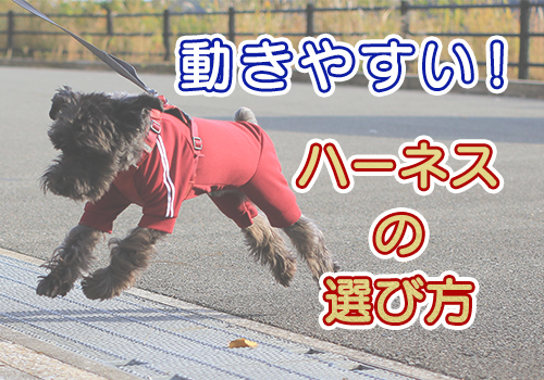 動きやすい犬用ハーネスの選び方