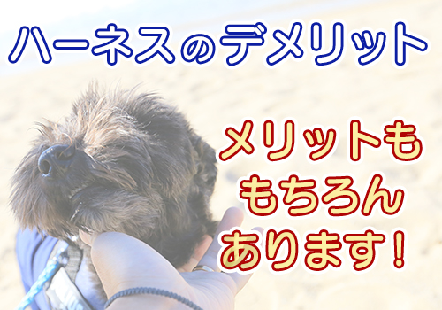 ハーネス 悪影響 犬