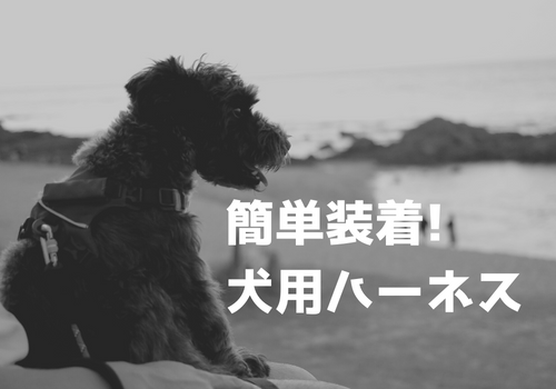 簡単装着犬用ハーネス