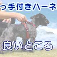 取っ手付きハーネス