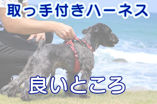 取っ手付きハーネス