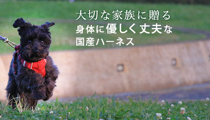 ストア 犬 ハーネス 国産